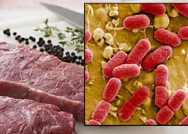 Смертоносную E.coli нашли в мясе