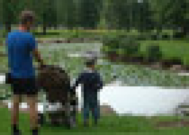 Mārupīte ir mirusi! Upē nav ne zivju, ne tās krastos čivina putni