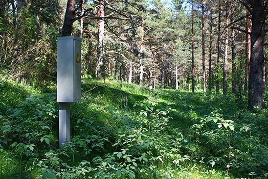 Bērziņam Kolkā pieder deviņi zemes gabali, bet pašreizējie noteikumi neatļauj šeit būvēties. Tā nu sagadījies, ka elektrība ir pievilkta mežam.