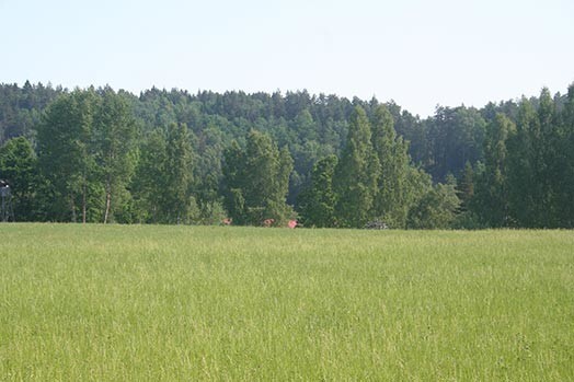 Grūti iedomāties, ka tur, pāri laukam, aiz kokiem, Amatas otrā krastā ir jaunievēlētā prezidenta īpašums.