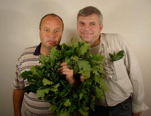 „Dainim bija ļoti fantastiska balss. Ja būtU studējis vokālistos, būtu bijis spicāks pa Zāberu. Varēja dziedāt „La Scalā”, Brodvejā!” kolēģi Daini Porgantu cildina Jānis Jarāns.