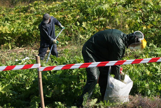 Samazinot simtlatnieku stipendiju, Labklājības ministrija cer nodarbināt papildus 4300 bezdarbniekus.