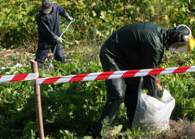 Samazinot "simtlatnieku" stipendiju, plāno nodarbināt vairāk bezdarbnieku