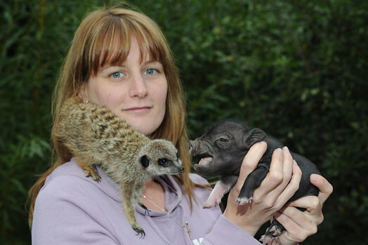 Келли Шамбли, которая ухаживает за животными, говорит, что это прекрасно — наблюдать за дружбой животных, которые никогда бы не встретились в дикой природе