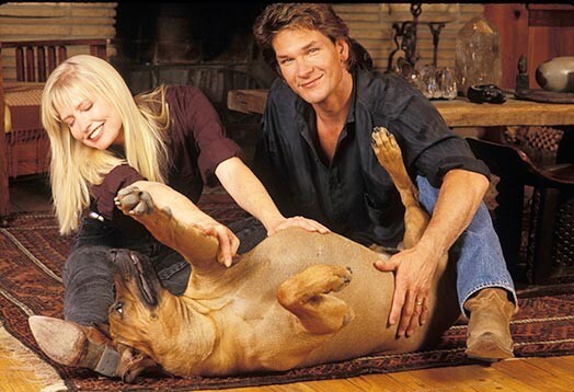 Незадолго до своей смерти Патрик сказал: «Я понимаю, что без Лизы моя жизнь была бы неполной. Я бы все равно добился успеха – но не смог бы сделать это столь элегантно»