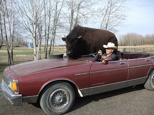 Джим даже переоборудовал свой Pontiac 1987 года, чтобы Бейли-младший мог в нем ездить