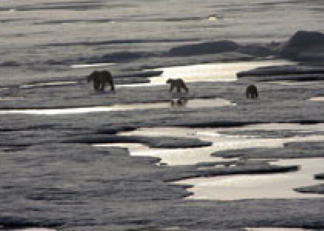 Arktikā notiek rekordlielas ar globālo sasilšanu saistītas pārmaiņas