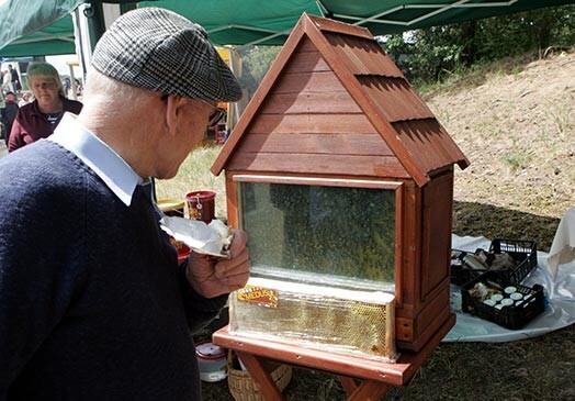 Bites neguļ, un bitenieki sūdzas, ka bites sākušas izlidot. Tas nozīmē, ka daudzas saimes vispār nepārziemos un daudzi stropi pavasarī būs tukši.