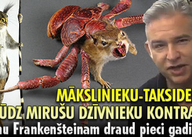 Mākslinieku-taksidermistu apsūdz mirušu dzīvnieku kontrabandā