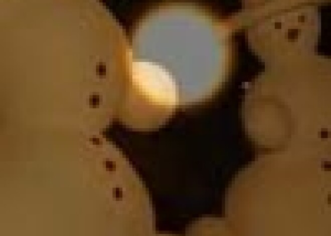 Dobelē notiek Sniegavīru saiets