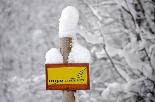 "Latvijas valsts meži" pērn ziedojuši četrus miljonus latu, tautas sports palicis bez atbalsta.