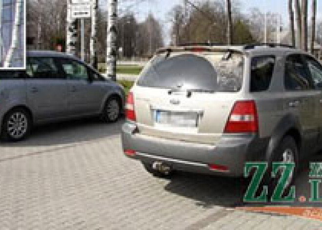 Служебное авто мэра Елгавского края сбило шестилетнюю девочку