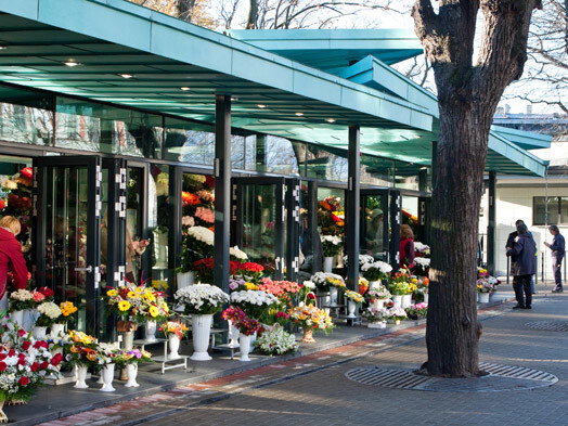 2011. gada 15. novembrī Saktas ziedu tirgus darbību uzsāka jaunajos tirdzniecības paviljonos.