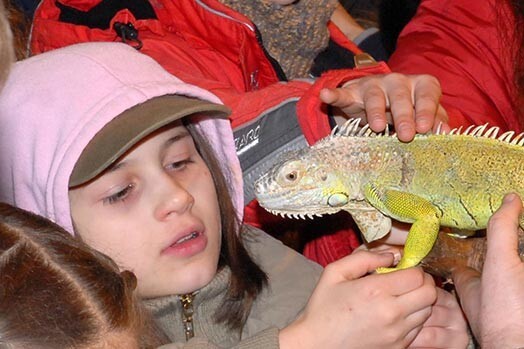 Rīgas Zooloģiskā dārza apmeklētājiem Tropu mēneša laikā būs iespēja izzināt silto zemju augu un dzīvnieku noslēpumus.