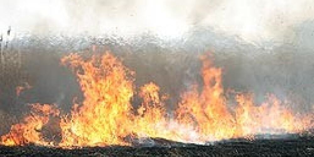 В Лиепае – первый в сезоне пожар прошлогодней травы