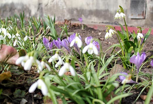 Tā ir līdz šim augstākā gaisa temperatūra Latvijā un Rīgā šogad