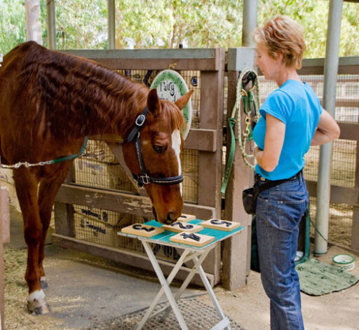 Лукас безошибочно определяет цифры до 19