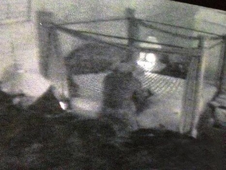 Еркектер қуыршақтарды қалай сиқырлайды