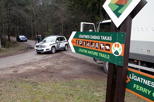 Līgatnes dabas taku lāči Miks un Puika līdz jaunās mītnes sagatavošanai paliks vecajā voljerā, no kura izmuka Made.