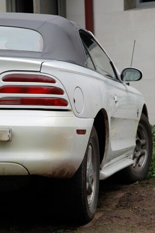 Baltais "Mustangs" ir Valentīndienas dāvana.