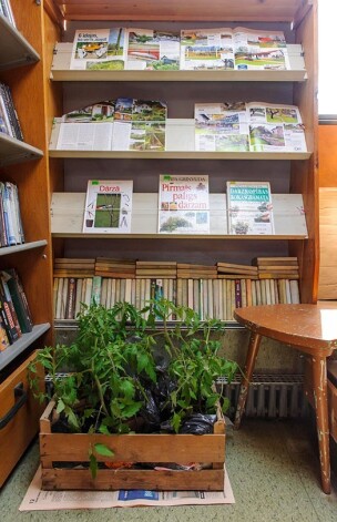 Bibliobusa aizmugurē līdzās dārzkopības izdevumiem pagaidu vietu raduši tomātu stādi.