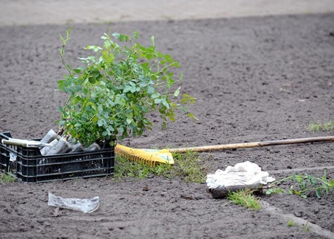 Trači Jelgavas tirgū: naktī pazūd prece, letes piegāna bezpajumtnieki