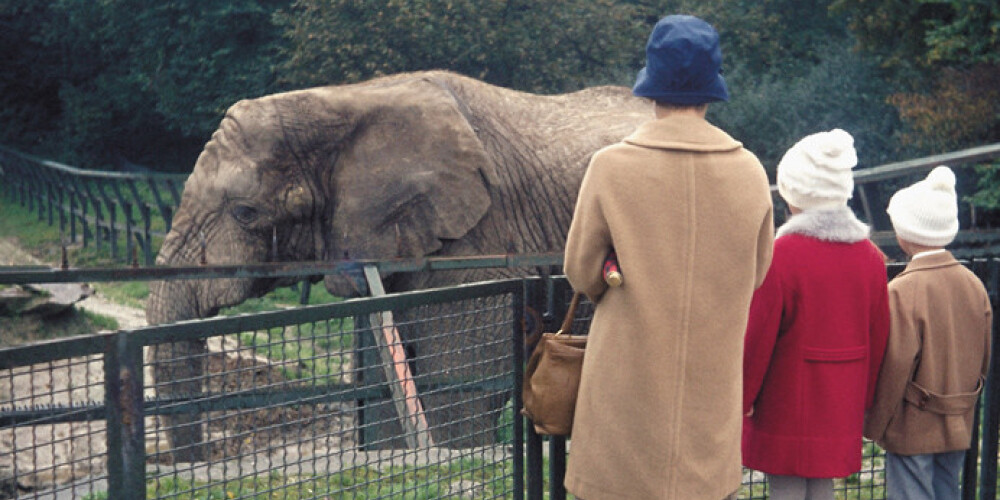 Šonedēļ jāprasa brīvība ziloņiem un jāsvin Luksemburgas monarha dzimšanas diena