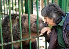 Līgatnes lāču mamma Velga Vītola pēc Mades nošaušanas vēl nav atguvusies un pašlaik vienīgais, ko viņa vēlas, ir miers.