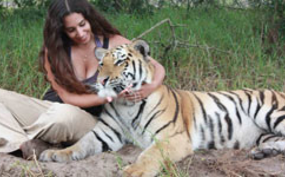 Девушка подобралась как тигрица Девушка подобралась как тигрица