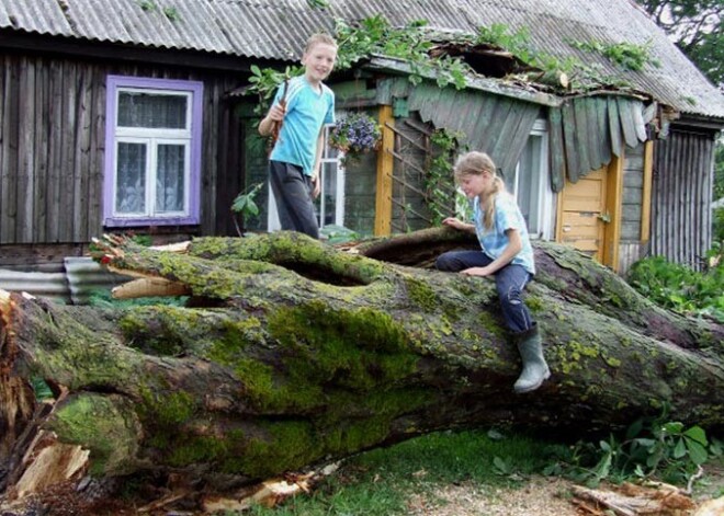 Viesuļvētra Nīcas pagastā simtgadīgus kokus gāž kā skalus. FOTO