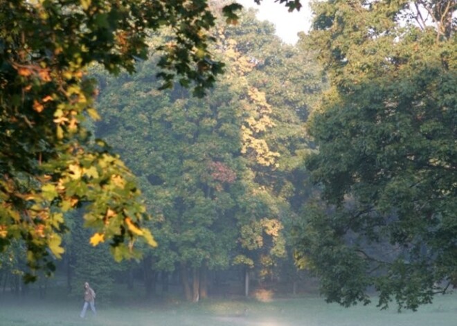 Gaisa temperatūra no rīta pazeminājusies līdz +3,5 grādiem; reģistrēti jauni aukstuma rekordi