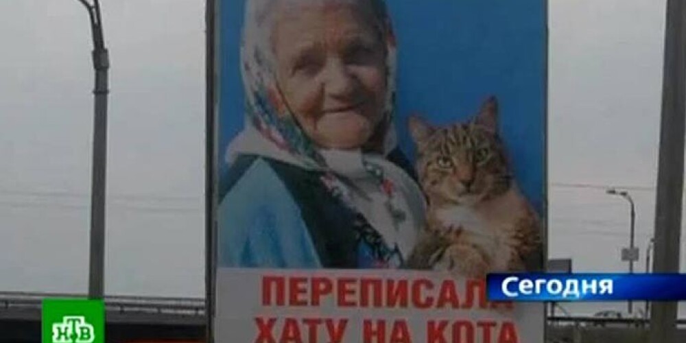 На Украине разразился скандал из-за плаката с котом