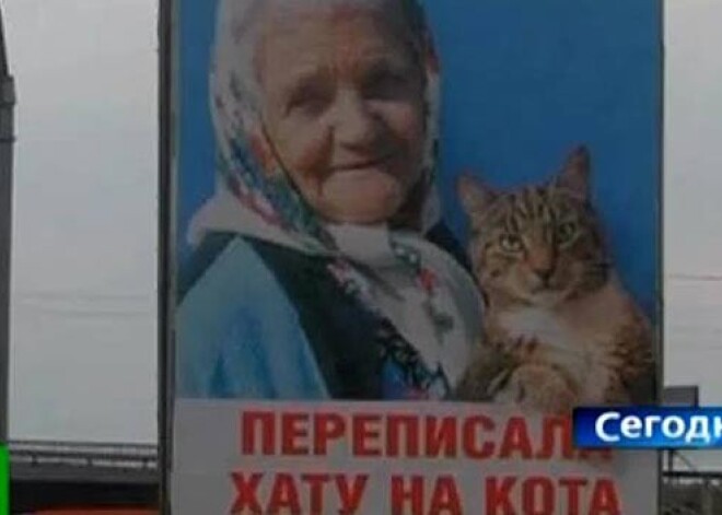 На Украине разразился скандал из-за плаката с котом