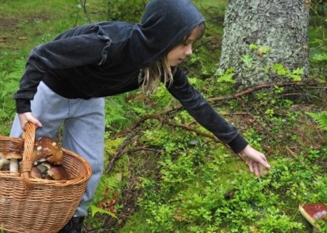 Brīvdienās būs migla, lietus un daudz mākoņu