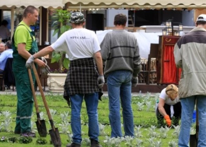 Latvijā uz katru brīvo darbavietu pretendē 26 bezdarbnieki