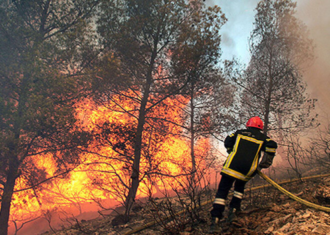 Četrpadsmitgadīgs franču zēns atzīstas plaša mežu ugunsgrēka izraisīšanā. FOTO