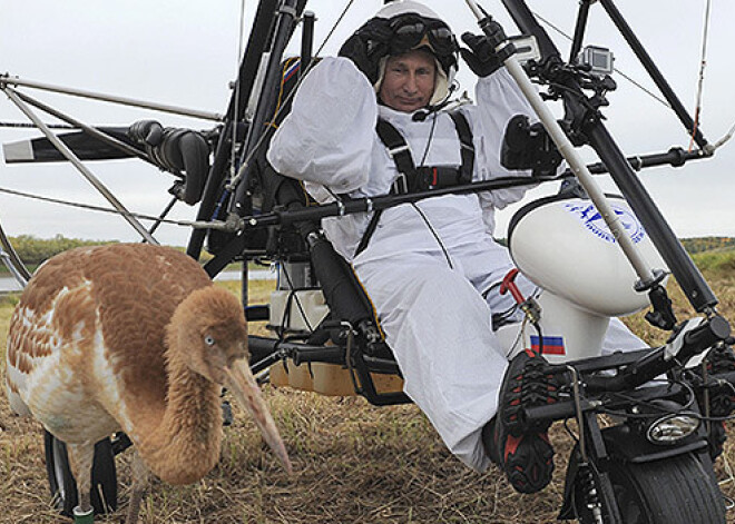 Putins atkal pucē savu mačo tēlu – viņš paceļas gaisā, lai komandētu dzērvju kāsi. FOTO. VIDEO