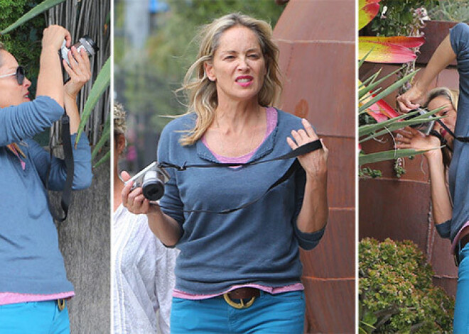 Smalko aprindu hronika: Šārona Stouna gandrīz nokrīt no krēsla, aizrautīgi fotografējot