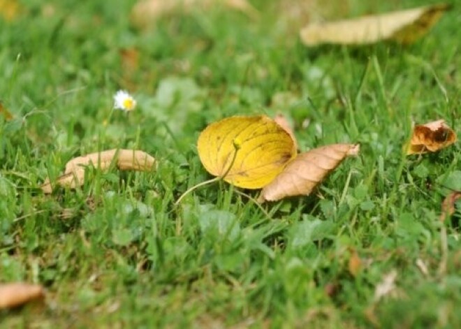 Rudens sākums šogad ir sausāks un siltāks par normu