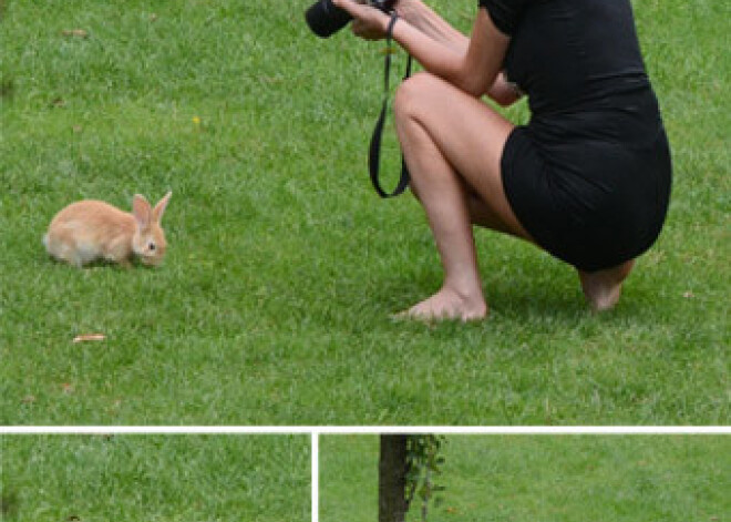 Šārona Stouna fotografē trušus, draugs - mīļotās dibenu. FOTO