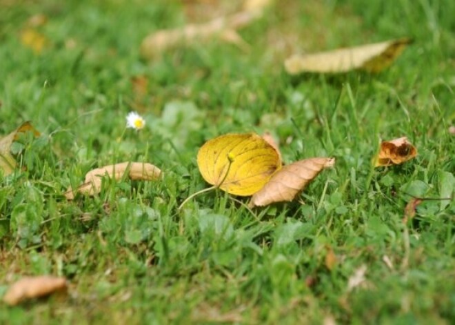 Sestdien pulksten 17.49 iestājies astronomiskais rudens