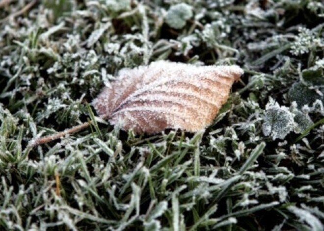 Pirmo reizi šoruden gaisa temperatūra Latvijā noslīdējusi zem nulles