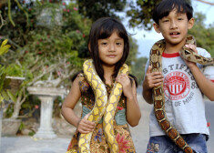 Дети дружат со змеями
