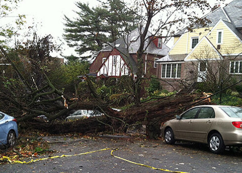 Ņujorkas latviešu luterāņu mācītāja Jura Saivara dzīvesvietas apkārtne Ņujorkā, kas skaitās „vētras neskarts rajons”. Mācītājs teic: „Divu māju un četru mašīnu laimīgie īpašnieki – koks aizkrita garām.”