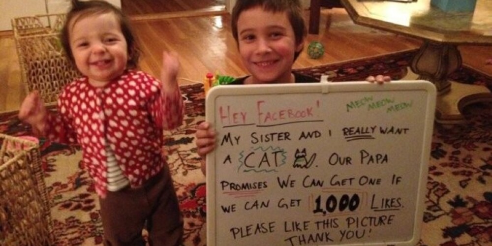 Пользователи Facebook помогли детям выпросить у отца кошку