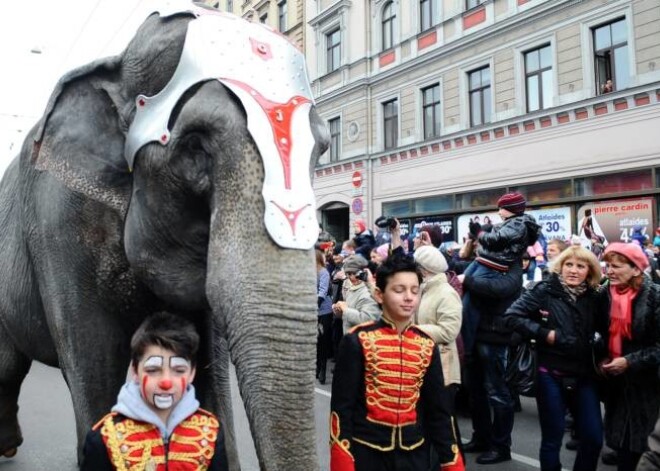 Ziloņu gājiens apkārt Rīgas cirkam