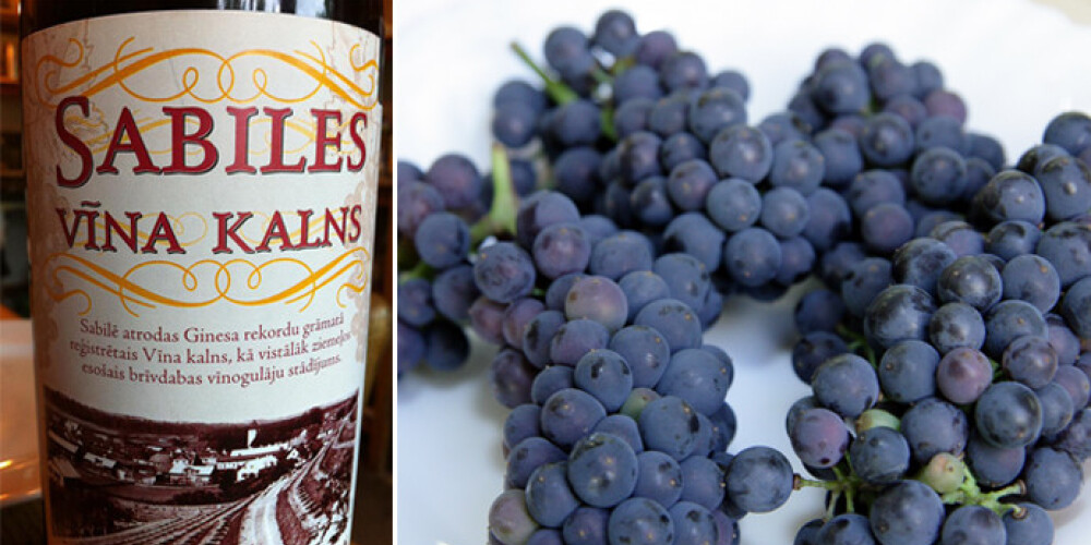 Klaja cūcība! Spānijā ražotu vīnu tirgo kā Sabiles vīnu