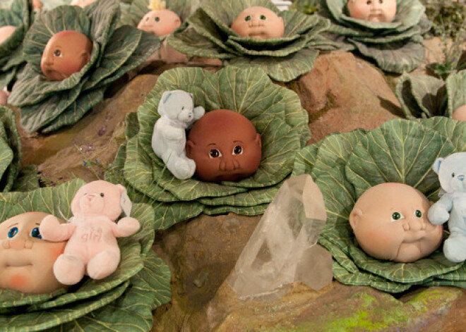 Куклы рождаются из капусты