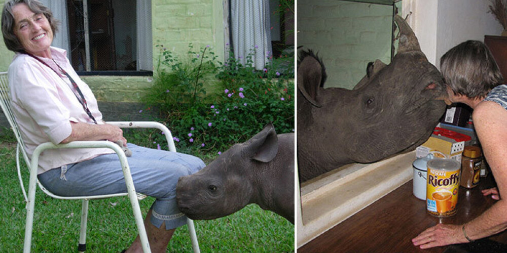 Энн и ее подопечный