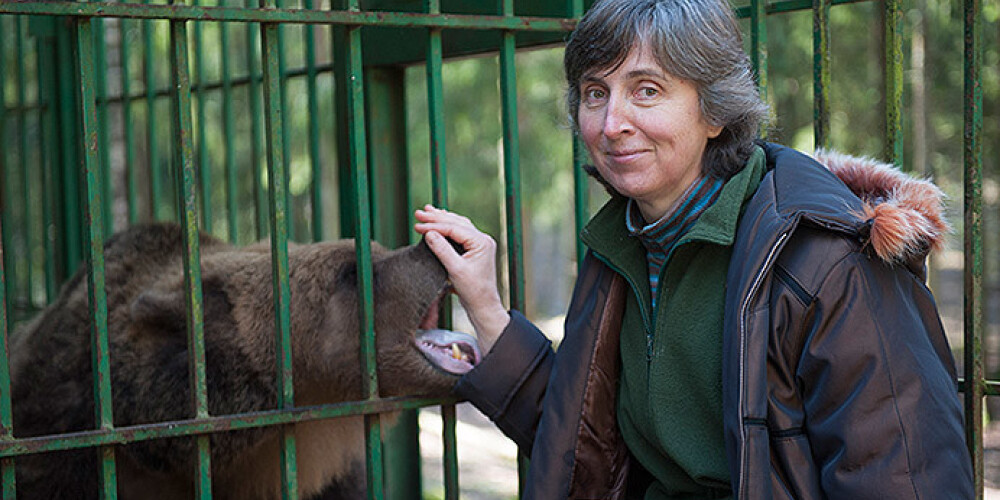 Darbu zaudējusi par lāču mammu mīļi dēvētā Velga Vītola. Viņa atlaista no darba, tāpat kā visi pārējie Līgatnes dabas taku darbinieki.